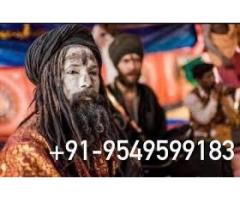 Love Spell Caster Expert Astrologer Specialties Baba Ji