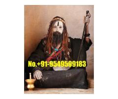 Get Back Love Astrologer Specialties Baba Ji