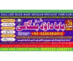 online istikhara for love marriage vashikaran specialist love problem solution astrologer E1